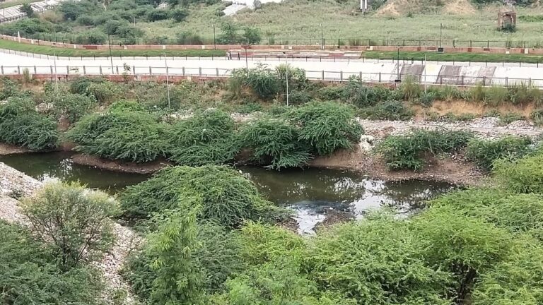 नगर निगम कर रहा है किसी बड़े हादसे का इंतजार शिकायत बाद भी नही जाग रहे है जिम्मेदार