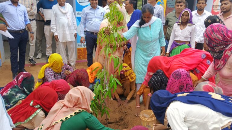 मुख्यमंत्री वृक्षारोपण अभियान में जयपुर संभाग के राजकीय स्कूलों में हुआ वृक्षारोपण