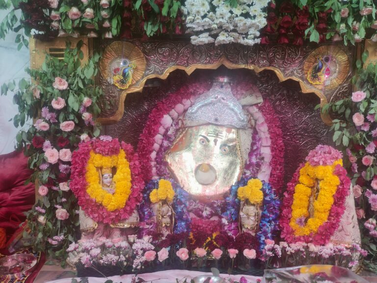 प्रथम पूज्य को धारण कराया सोने का वर्क का चोला