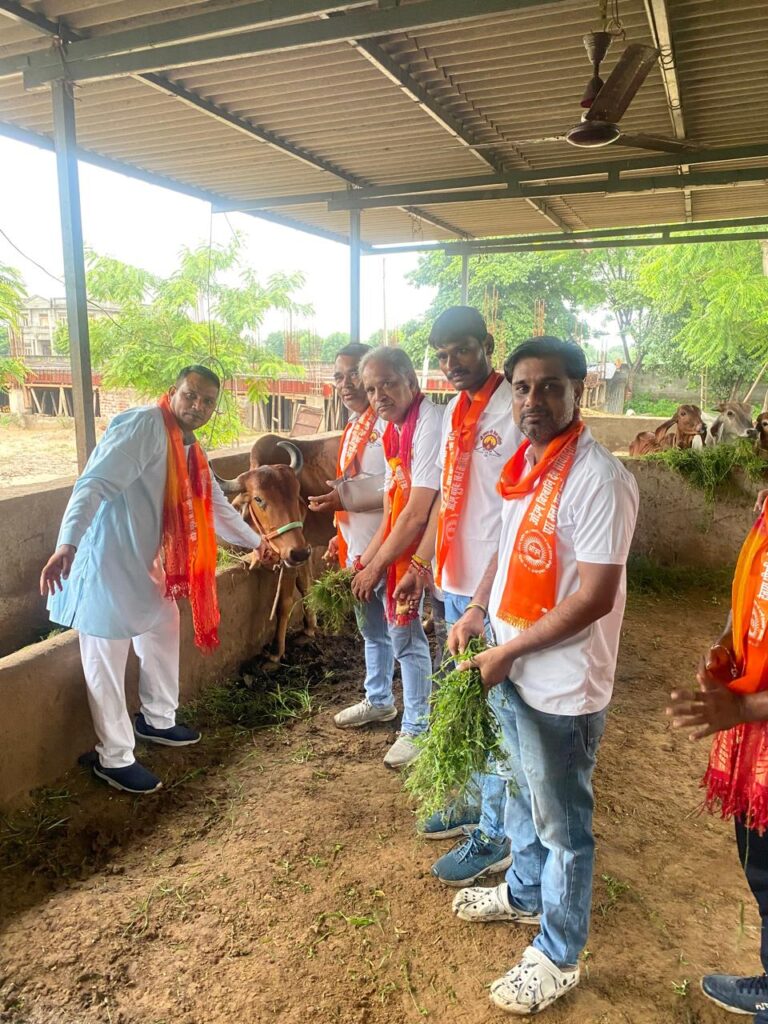 अमावस्या पर श्याम गो सेवा समिति ने गायों को हरे चारे के साथ गुड खिलाया