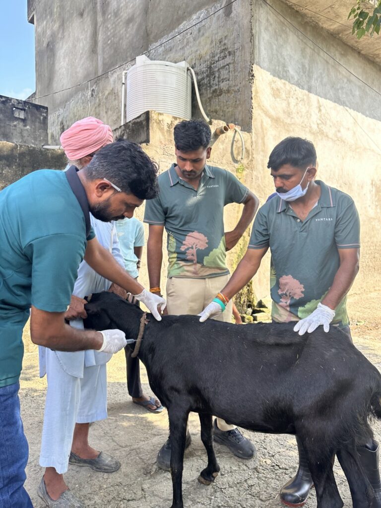 पंजाब बाढ़ पीड़ितों के लिए रिलायंस ने बढ़ाया मदद का हाथ
