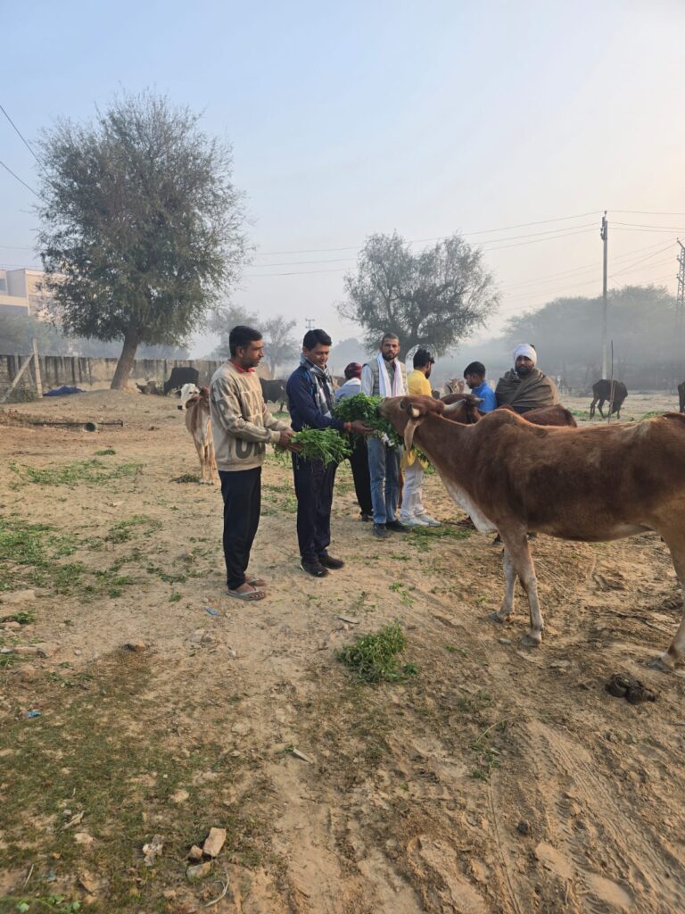 गौ सेवा परिवार समिति ने स्वर्गीय जिज्ञासा वाजपेयी की स्मृति