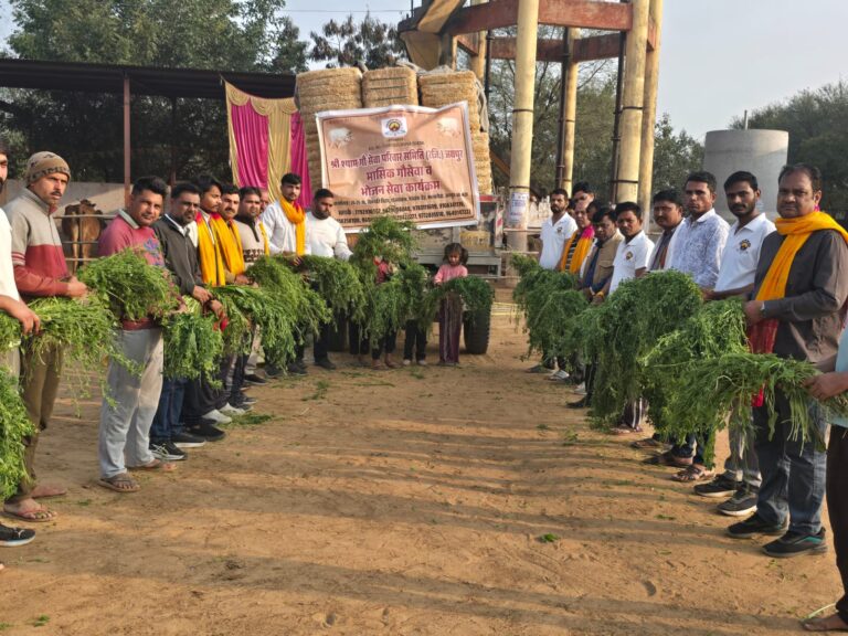 श्याम गौ सेवा परिवार ने अमावस्या पर गौशाला में की सेवा
