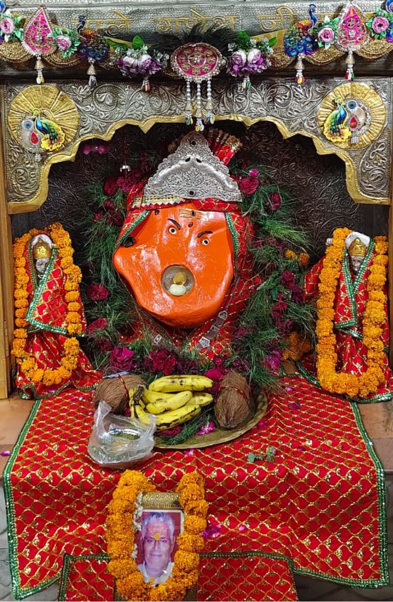 प्रथम पूज्य भगवान गणेश का हुआ  दूध व पंचामृत से अभिषेक